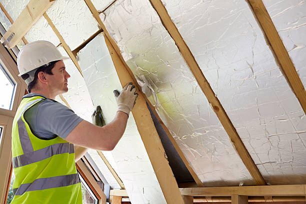 Best Spray Foam Insulation  in Forrest, IL